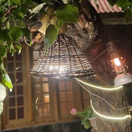 Sehrish Guest House スカルドゥ エクステリア 写真